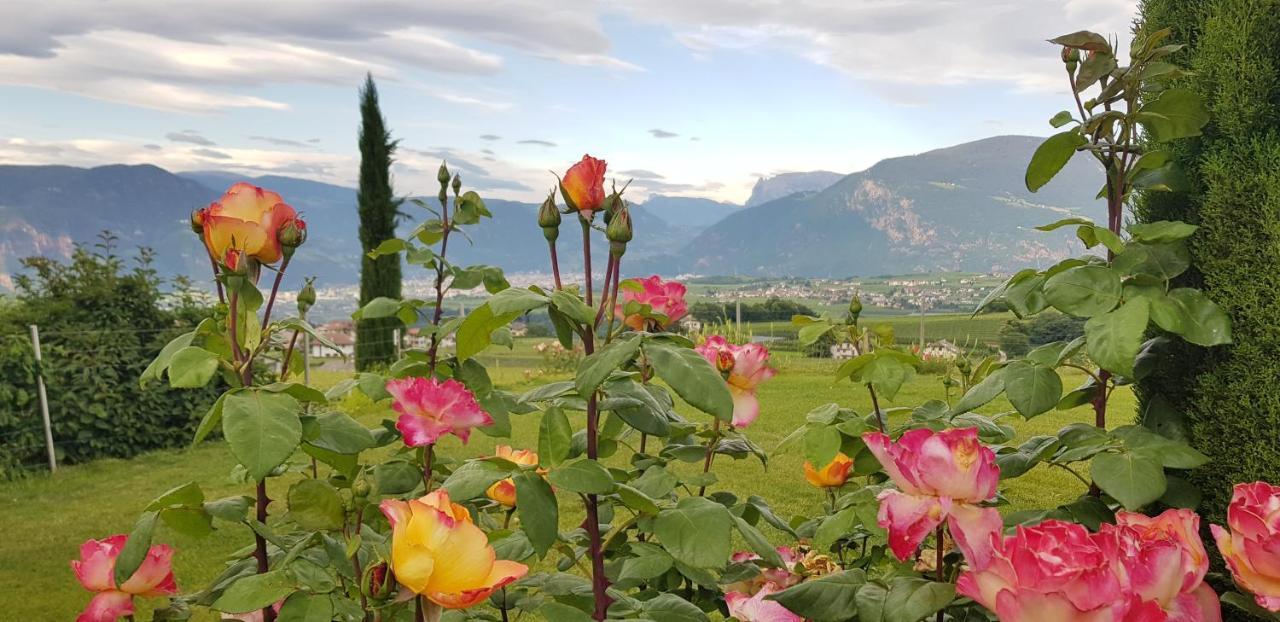 Das Matscher Residence & Garden Hotel Appiano Sulla Strada Del Vino Bagian luar foto