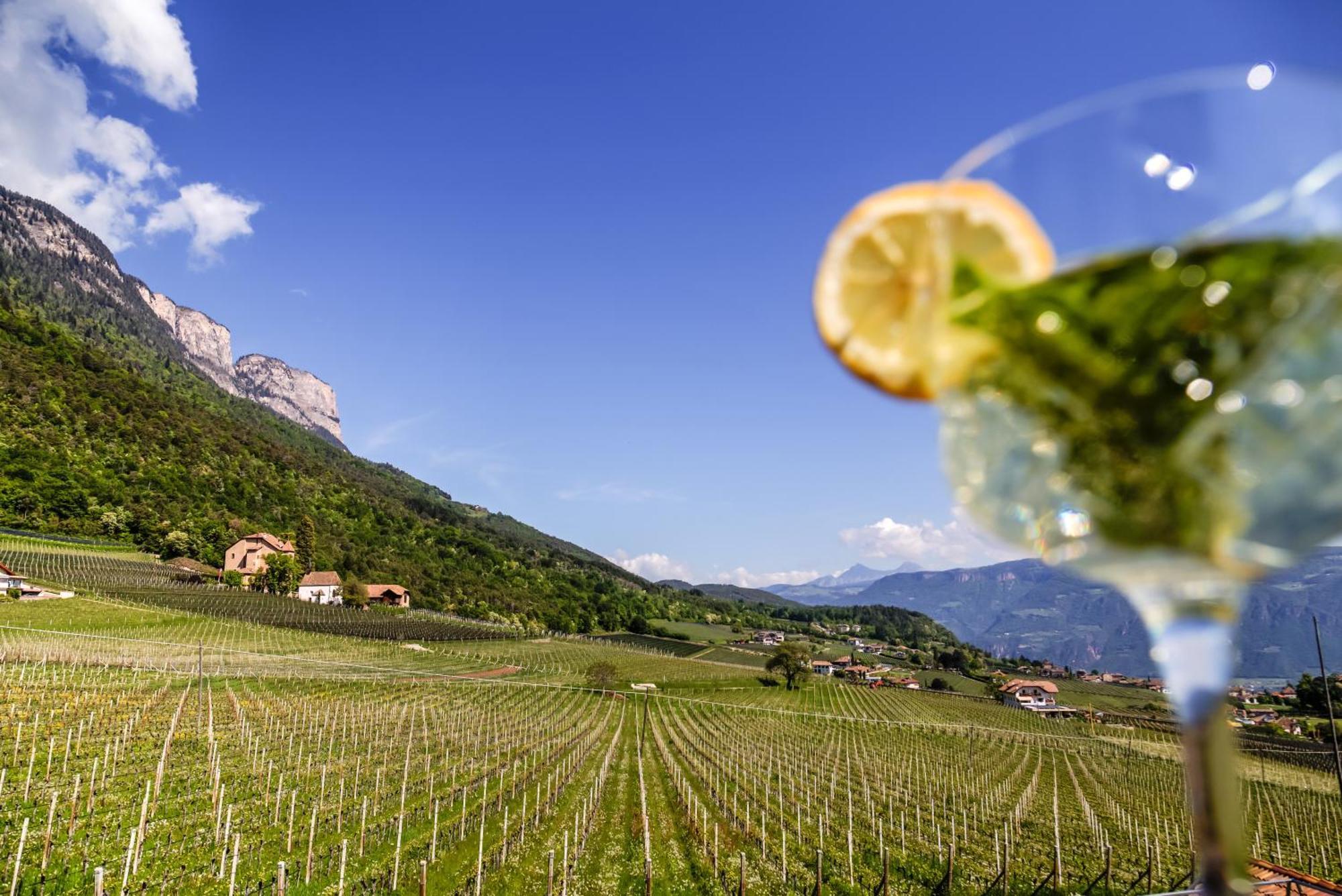 Das Matscher Residence & Garden Hotel Appiano Sulla Strada Del Vino Bagian luar foto