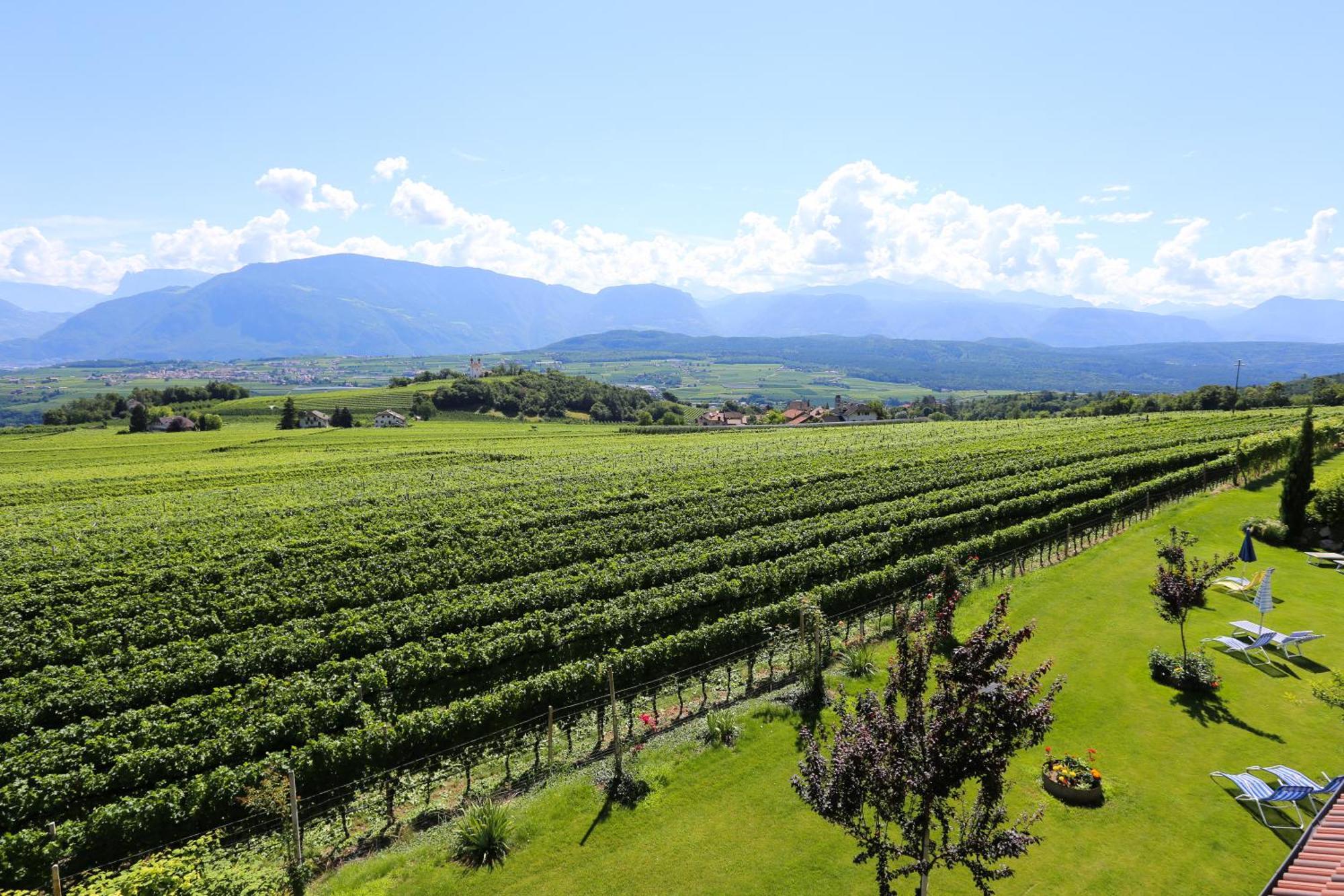 Das Matscher Residence & Garden Hotel Appiano Sulla Strada Del Vino Bagian luar foto