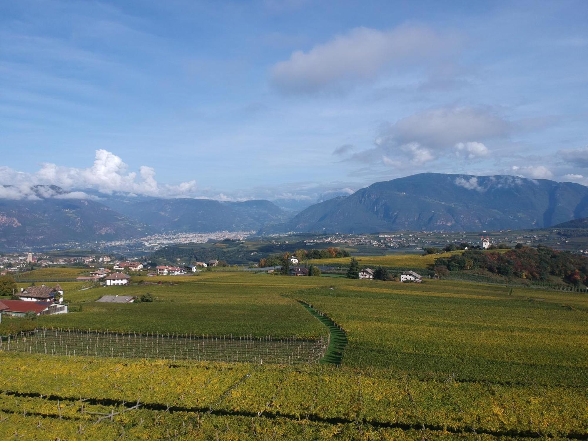Das Matscher Residence & Garden Hotel Appiano Sulla Strada Del Vino Bagian luar foto
